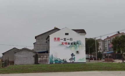 舞阳新农村墙绘